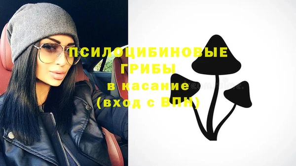 шишки Красноперекопск