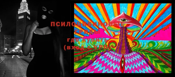 шишки Красноперекопск