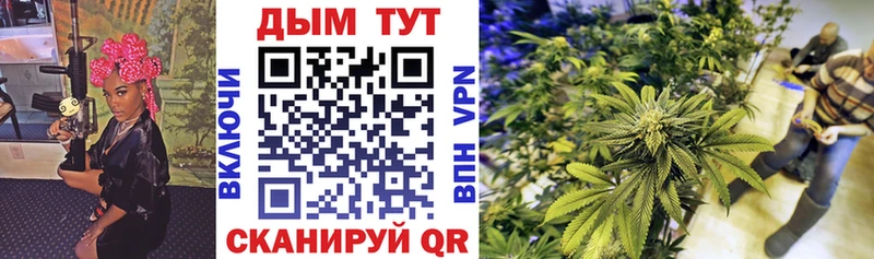Купить где  Верхняя Пышма  Каннабис план 